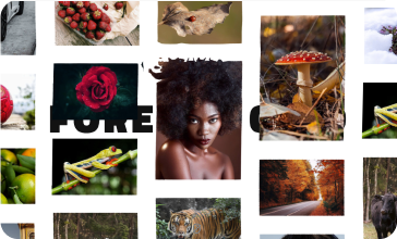 Preset 8