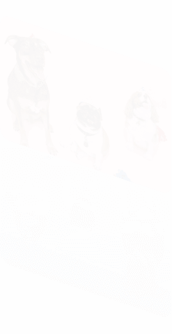 Coverflow image two