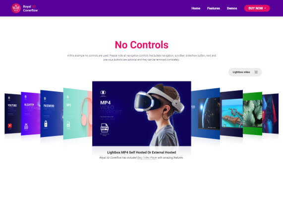 No Controls