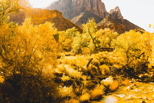 Colors Of Nature