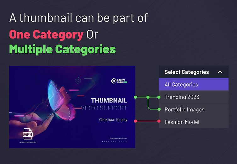 Thumbnail can be part of a single category or multiple categories