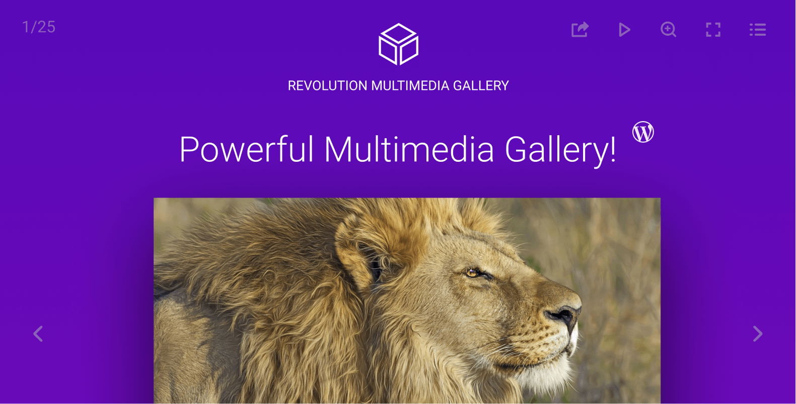Revolution Multimedia Gallery